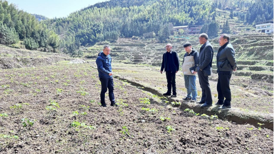 新邵县太芝庙镇：党建引领促产业，集体增收有保障