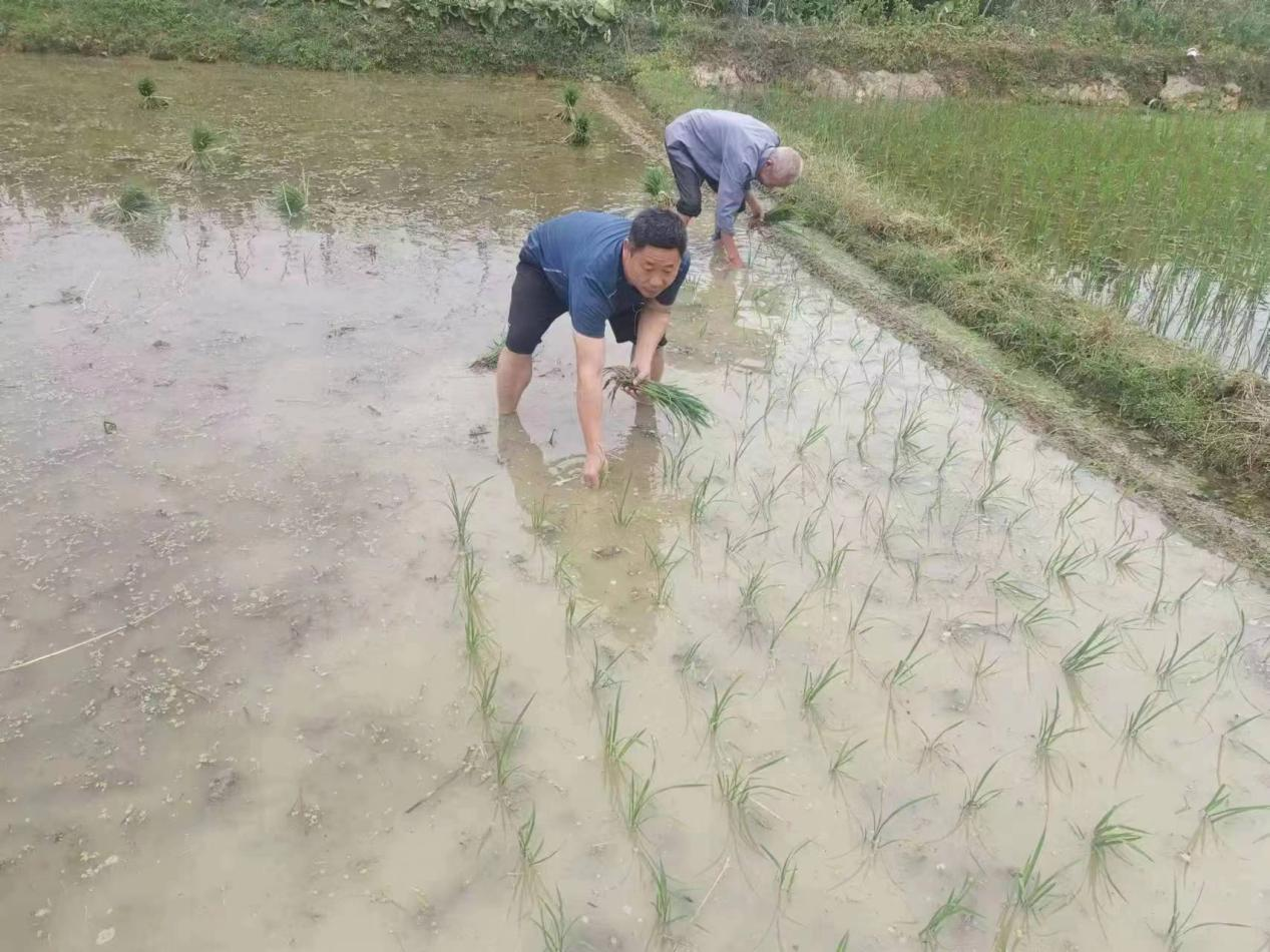 图片1.png 图片1.png