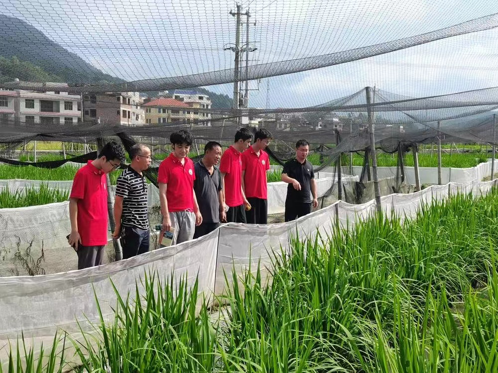 图片1.png 图片1.png